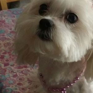 Meet your Posher, Noelia